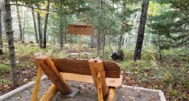 a wooden bench overlooking the woods and the Step 10 sign.