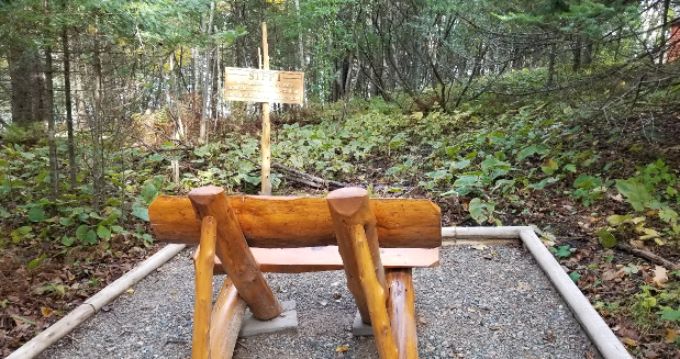 a wooden bench overlooking the woods and the Step 1 sign.