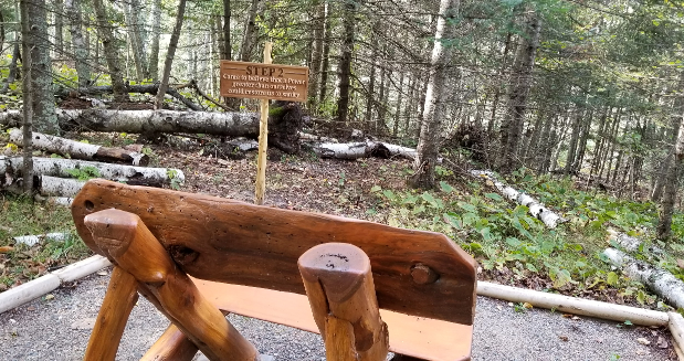 a wooden bench overlooking the woods and the Step 2 sign.