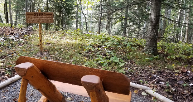 a wooden bench overlooking the woods and the Step 3 sign.