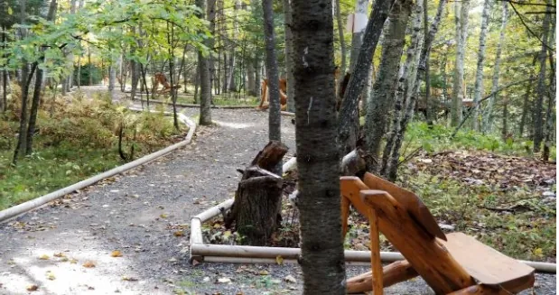 a wide path through the woods with wooden borders.